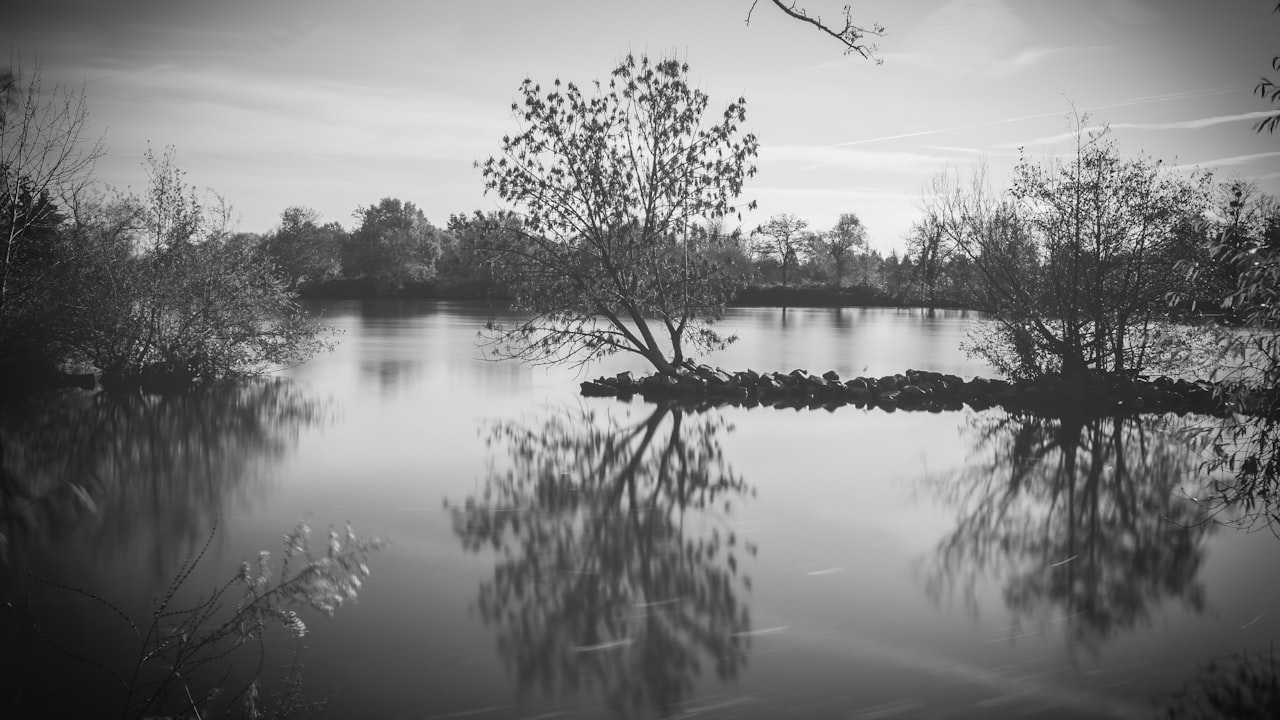 Steering System Maintenance 101: How to Keep Your Car Safe and Responsive