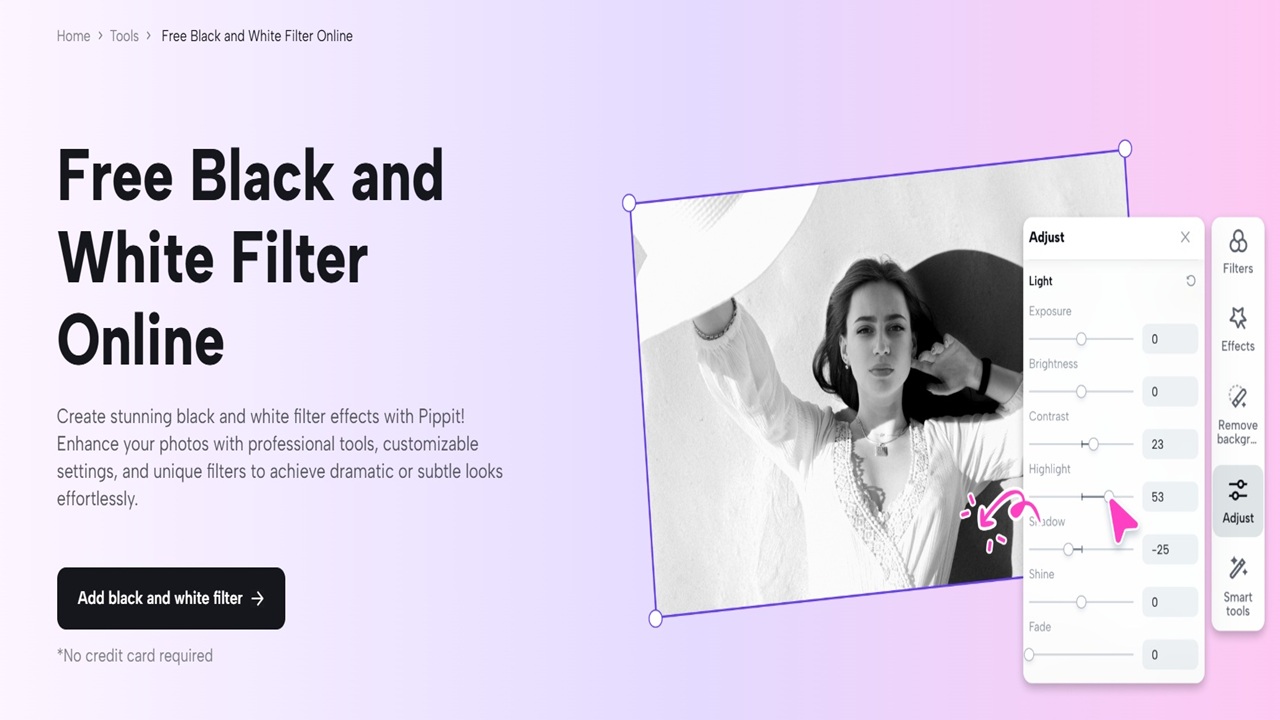 How to Use Pippit AI by CapCut to Elevate Product Showcases with Black &amp; White Filters