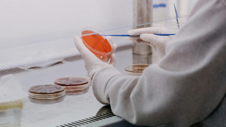 Glutathione Powder Specification: What B2B Buyers Should Confirm Before Quoting